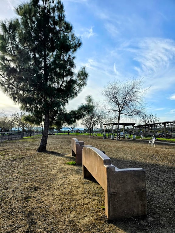 Woodland Off Leash Dog Park