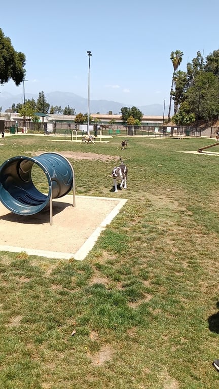 Fletcher Fetch Park