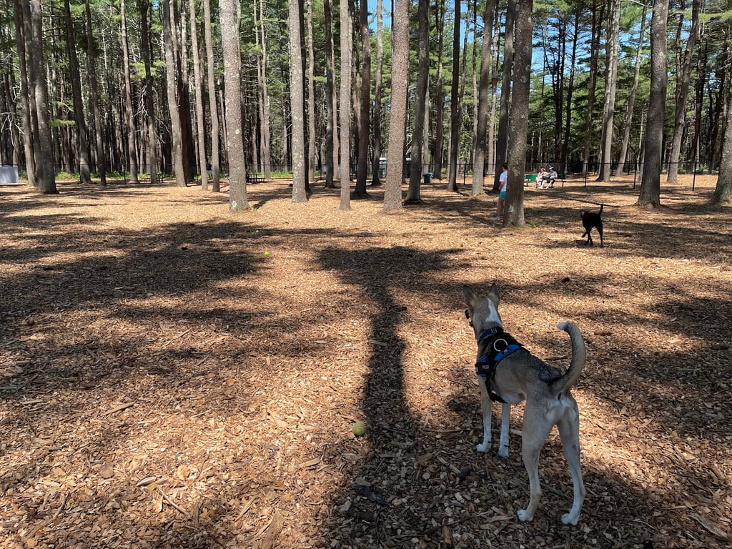 North Attleboro Dog Park