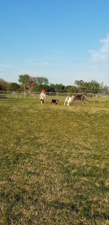Haysville Dog Park At Dorner Park