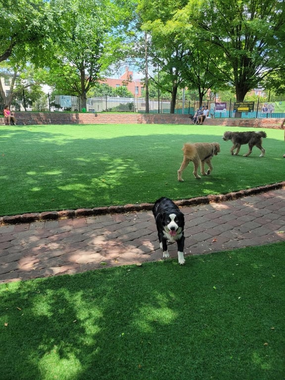 Seger Dog Park