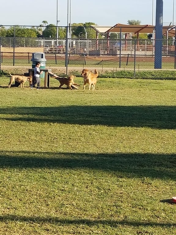 Sahuaro Ranch Dog Park