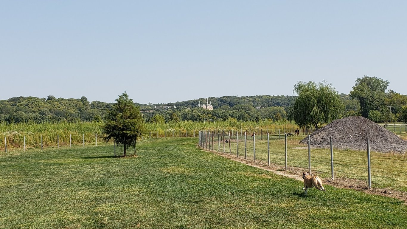 Platte Landing Park Dog Park