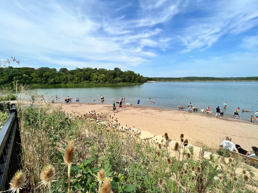 Shawnee Mission Park Dog Off-Leash Area