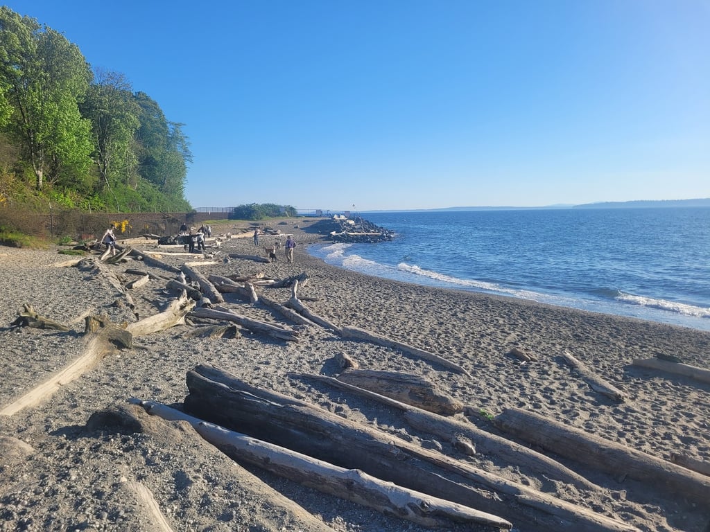 Off Leash Area Edmonds