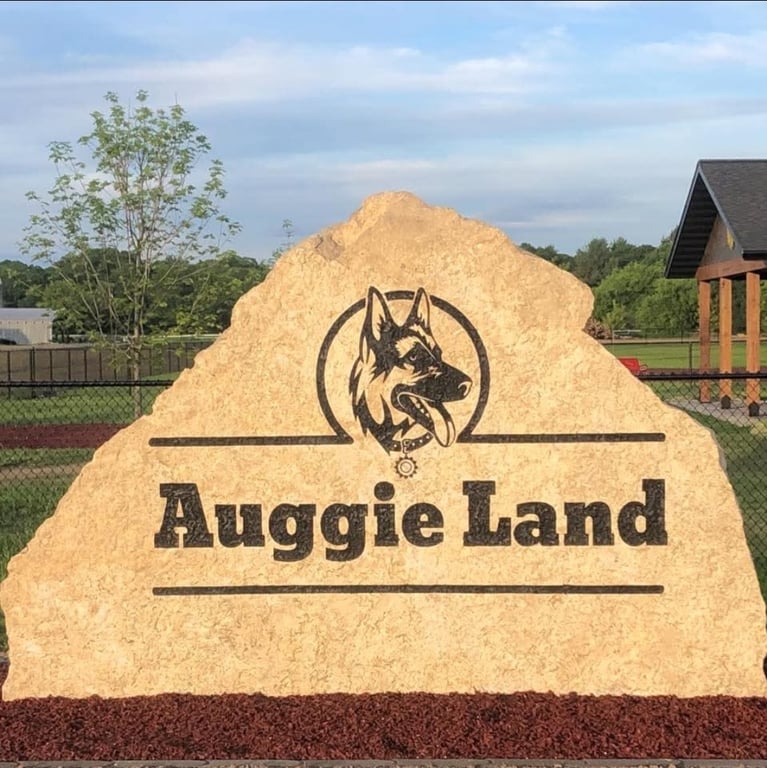 Auggie Land