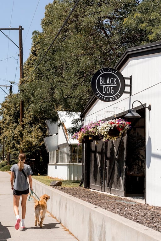 Black Dog Coffee House x Poly Drive