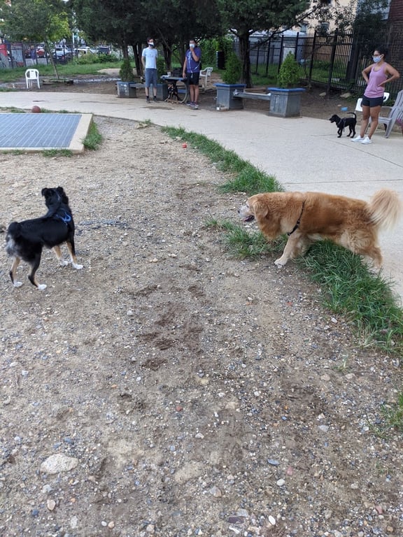 Columbia Heights Dog Park