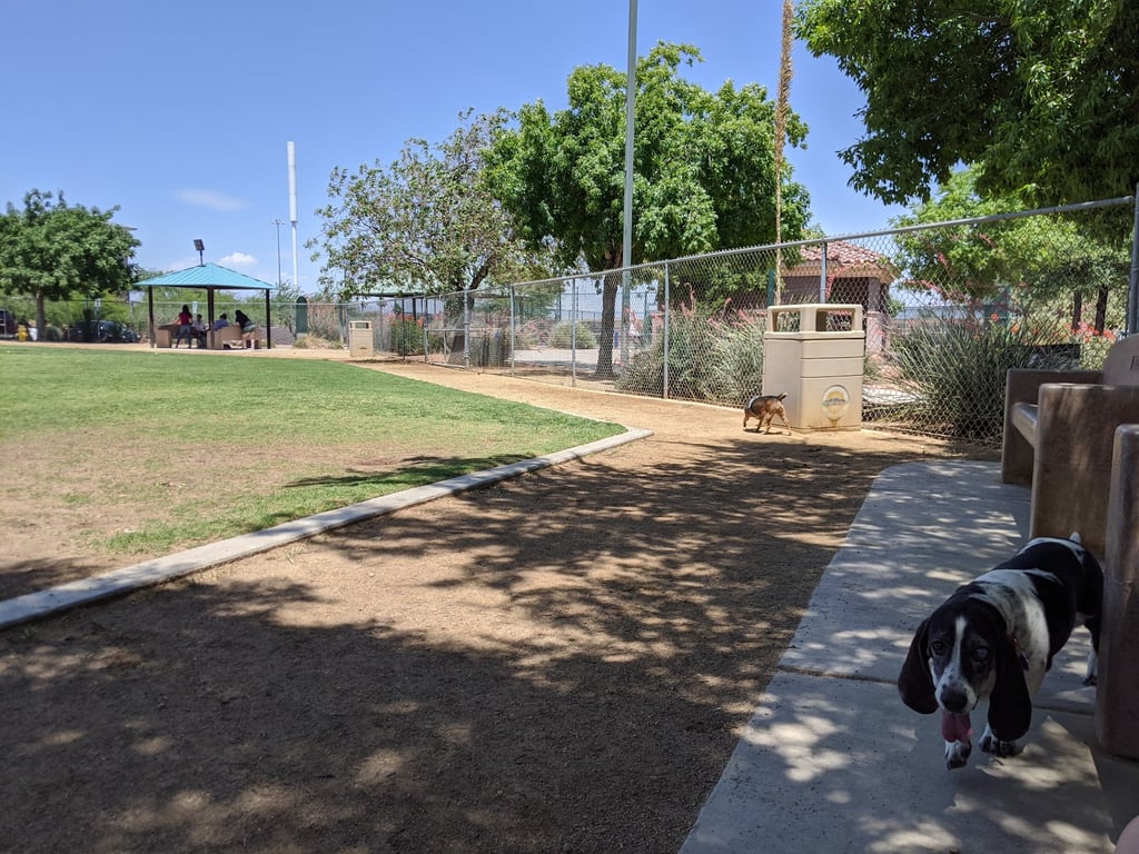 Nicolai’s Para Dog park