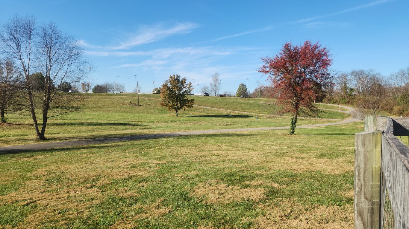 Lakeview dog park