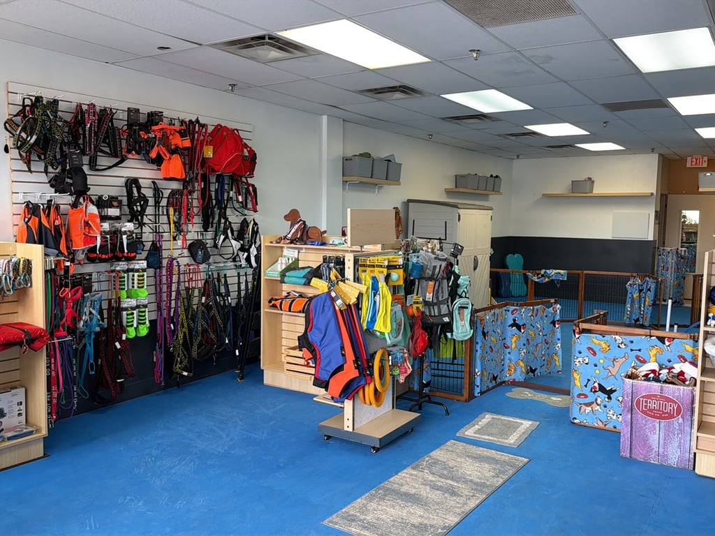 Jack and the Pack MN LLC