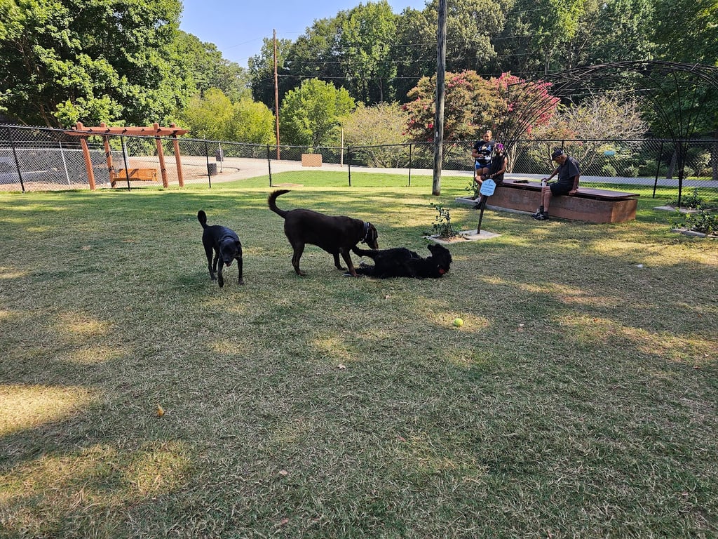Rail Trail Dog Park