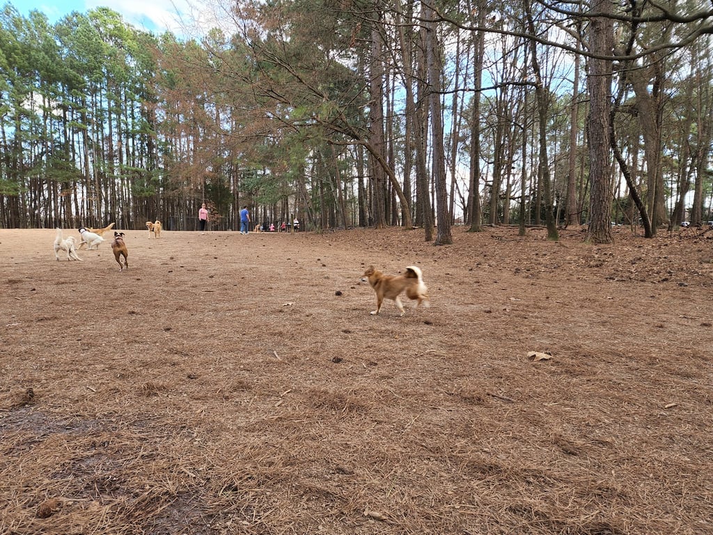 Swaney Pointe Park