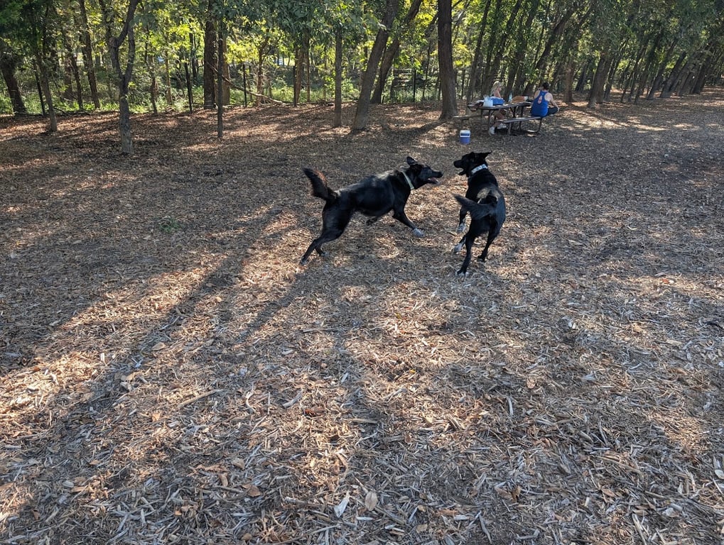 Bonnie Wenk Park Dog Park