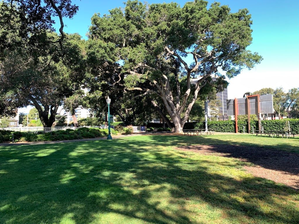 Dog Off-Leash Area