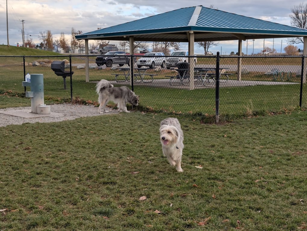 Paws to Play Dog Park