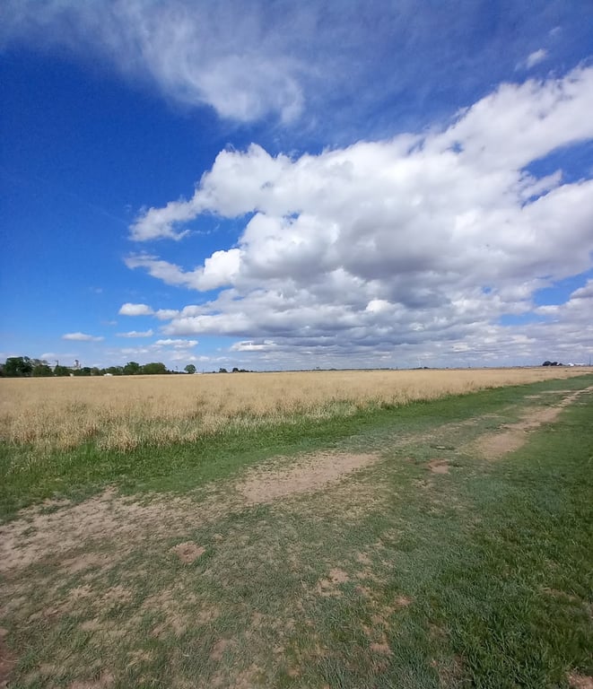 Hastings Dog Park