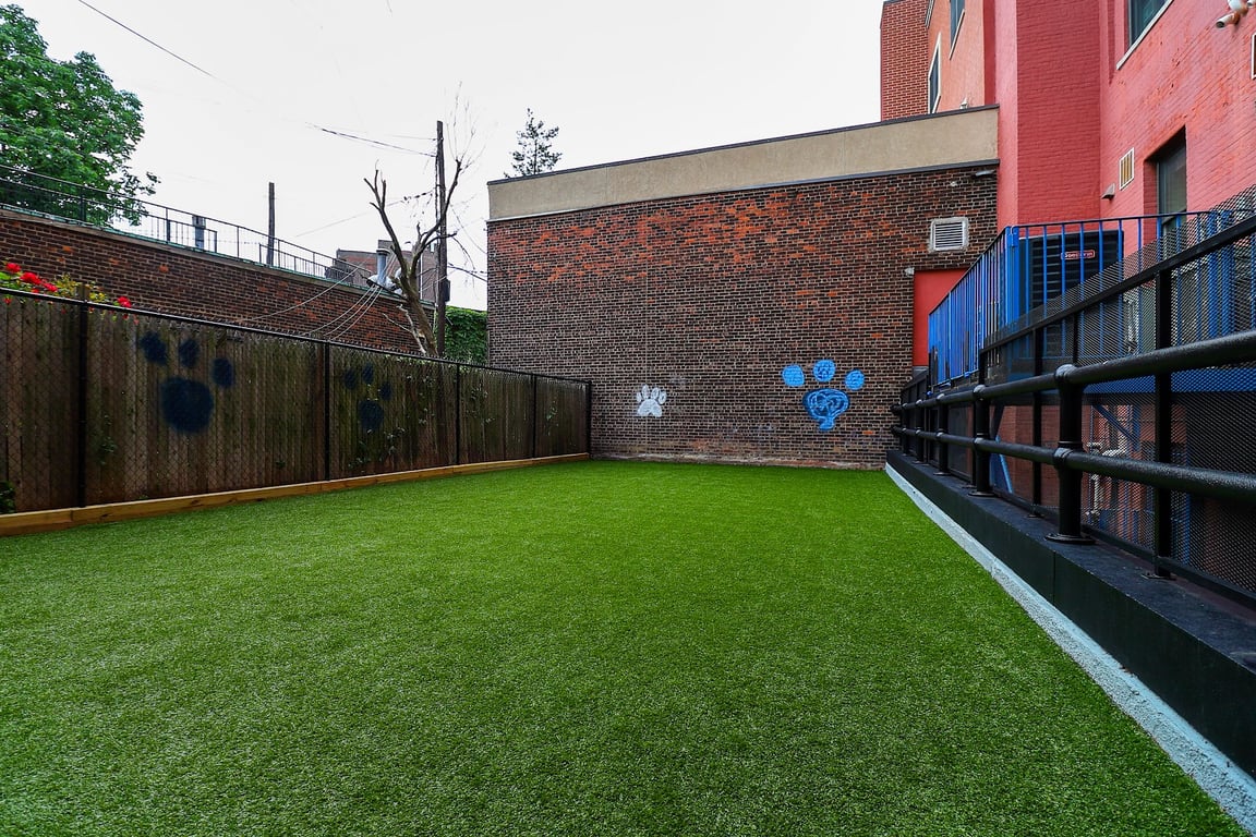 Paws & Tales Doggy Playgroup
