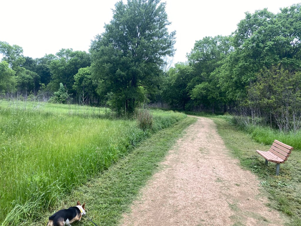 Dog Park Blue