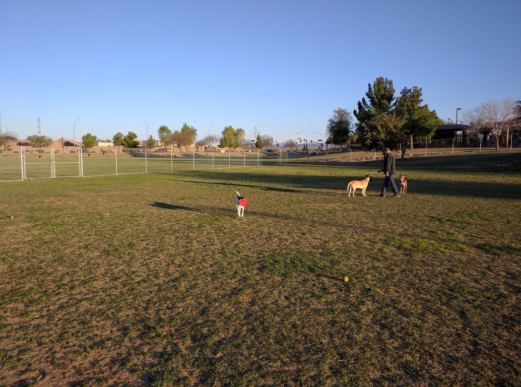 Alta Vista Park Off-leash Dog Park