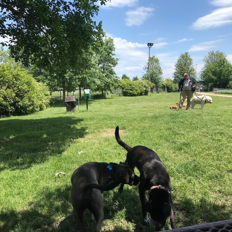 Pooch Park