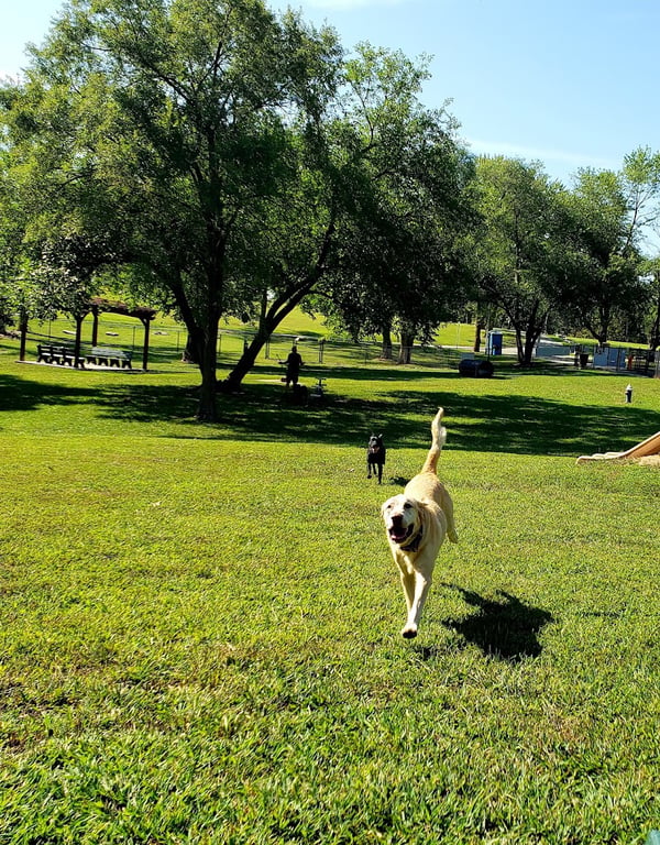 Century Bark Off Leash Dog Park