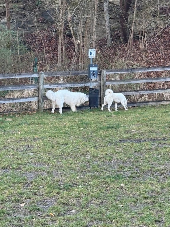 Pikeville Dog Park