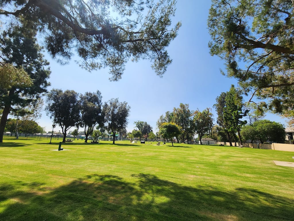 Baldy View Dog Park