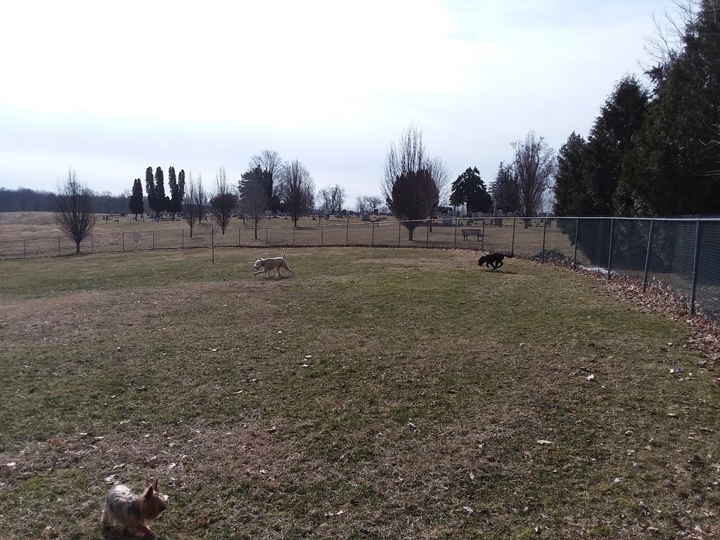 Commons Dog Exercise Area