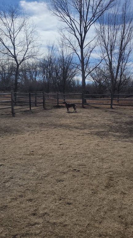Poudre Pooch Park