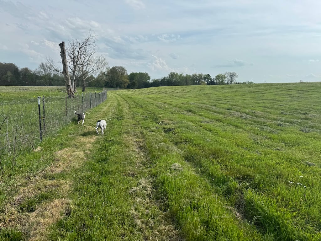 Iron Nail Ranch SniffSpot