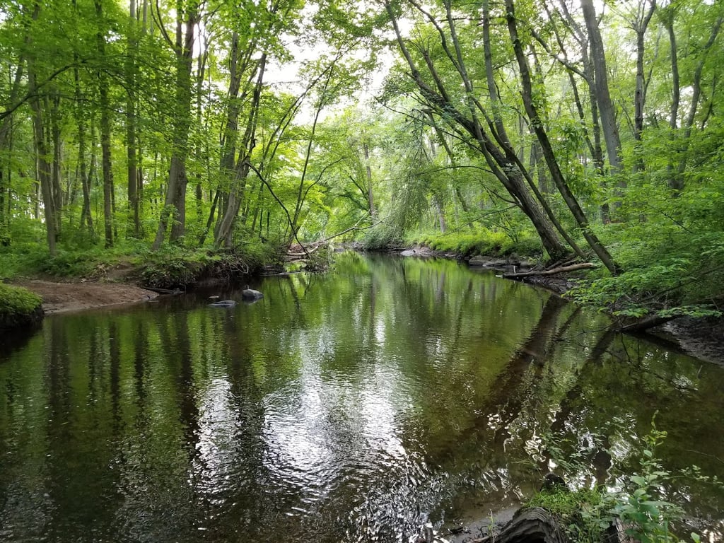 Eisenhower Dog Park