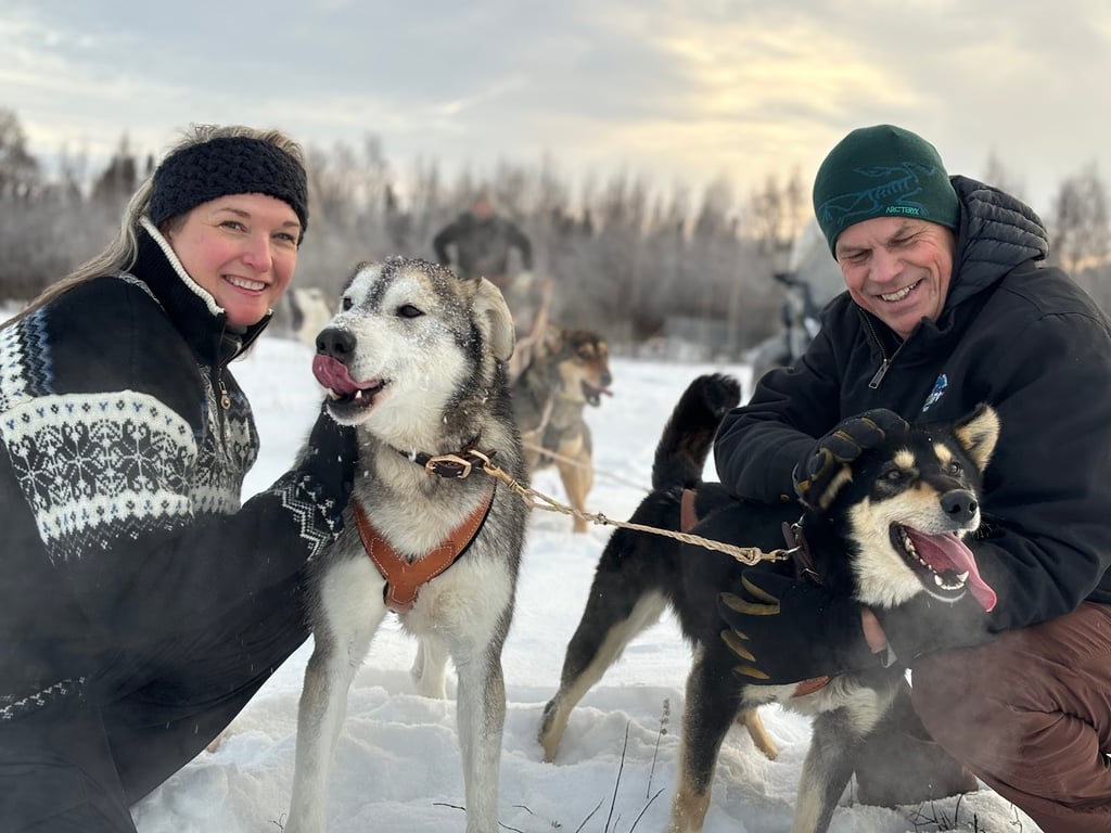 Colorado Dog Sledding
