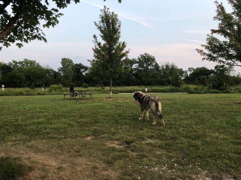 Oldfield Oaks Dog Park