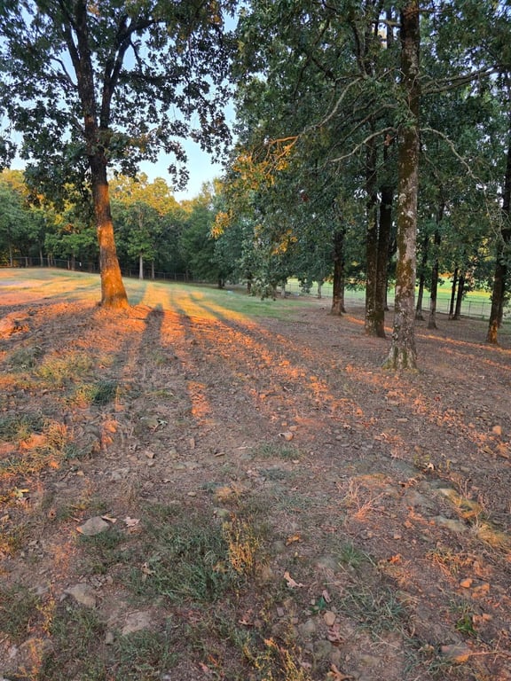 Conway’s PetSafe Dog Park