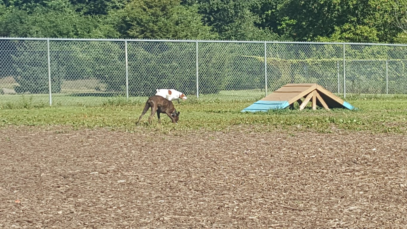 Flying Cloud Dog Park