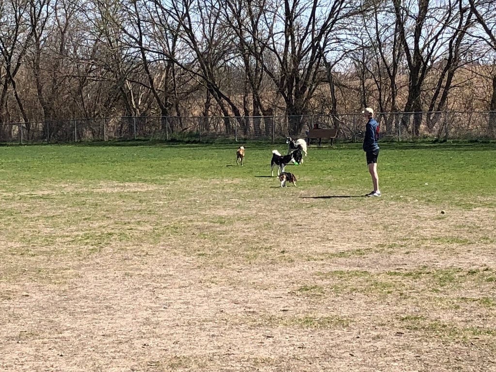 Rita’s Ranch Dog Park