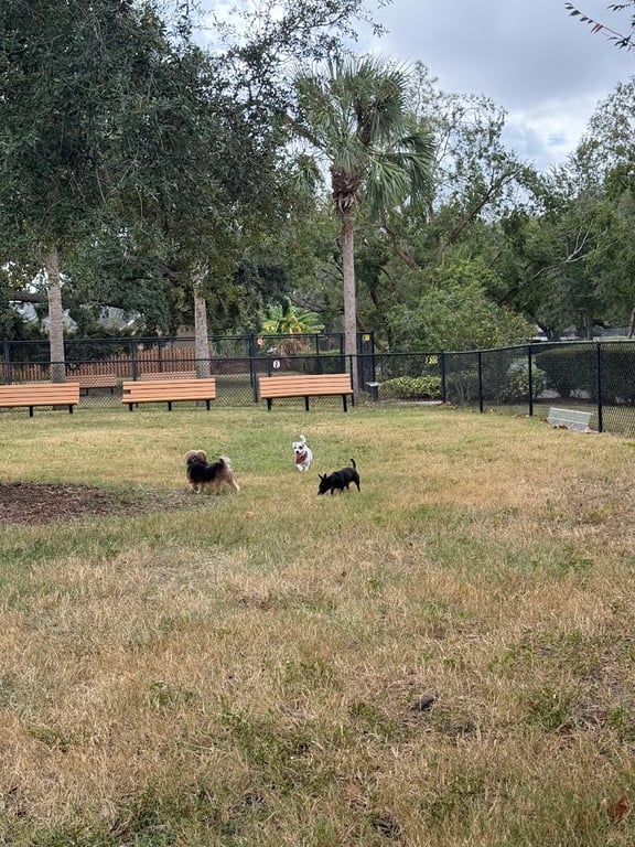 Achieva Paw Park