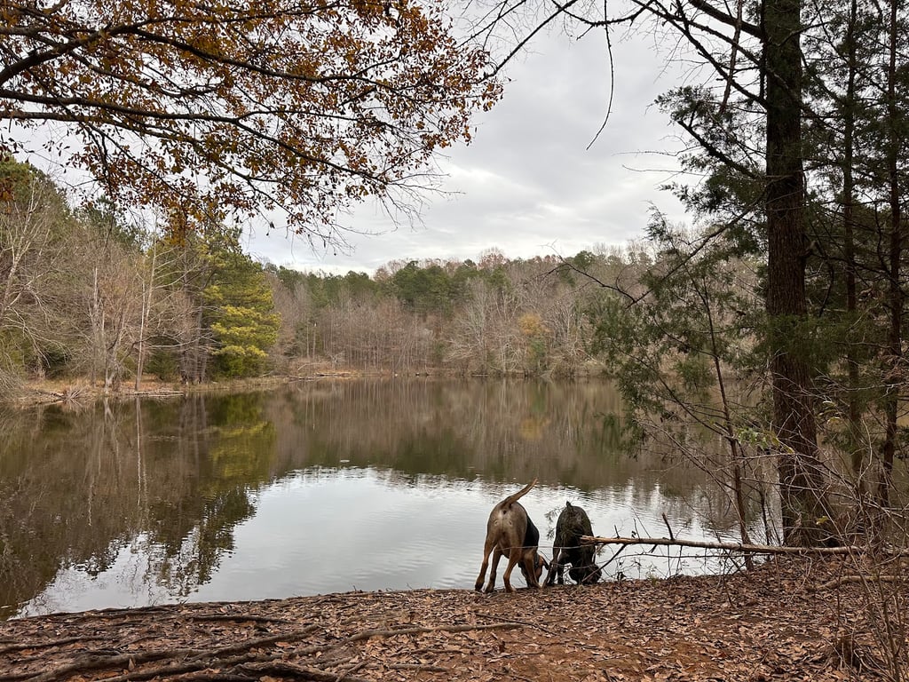 Whitewater Center Off Leash