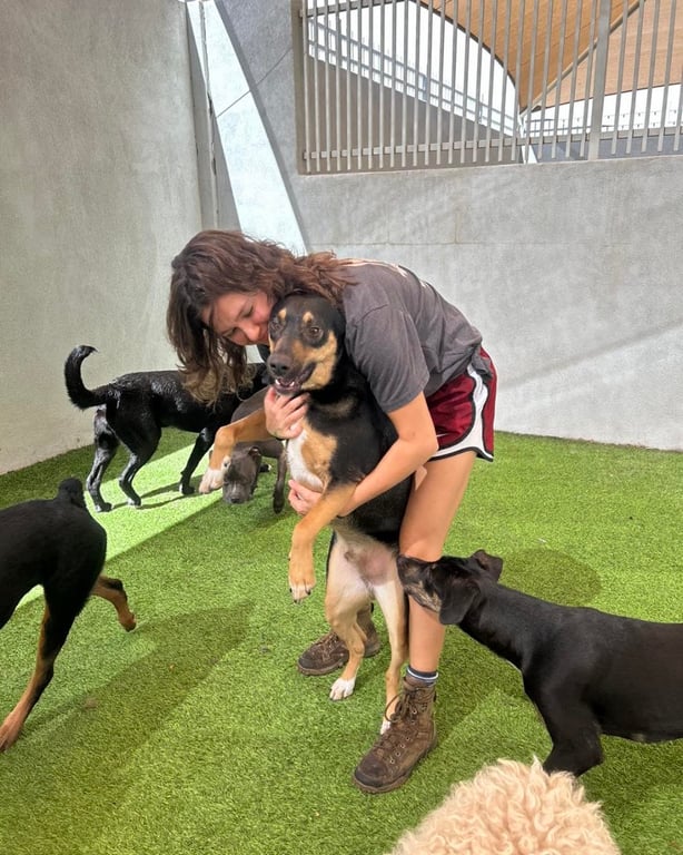 Tempe Dogs 24/7