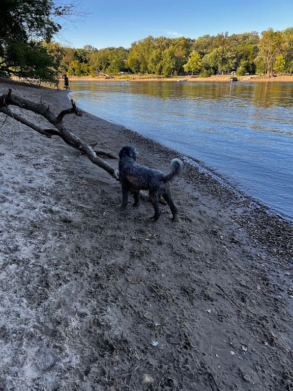 Minnehaha Off Leash Area