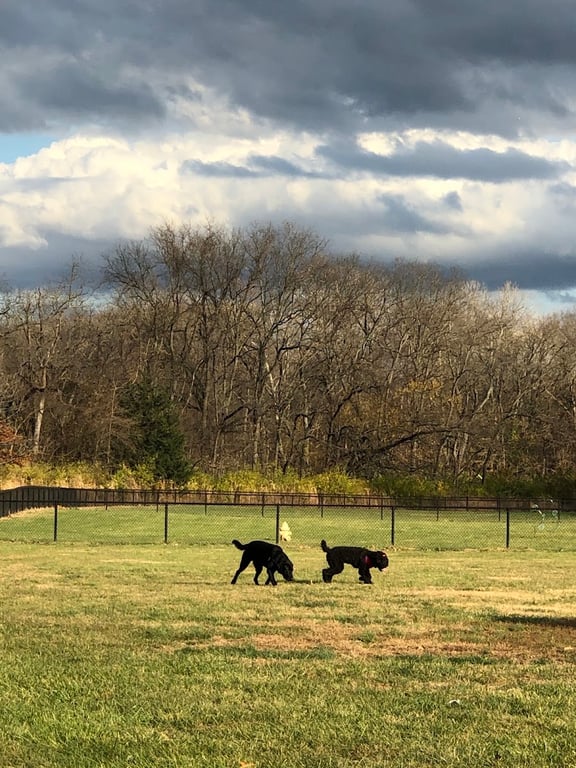 Tails & Trails Dog Park