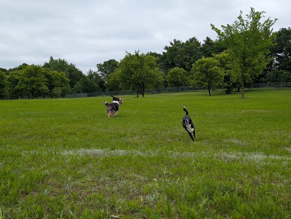 Otter Creek Off-Leash Dog Park