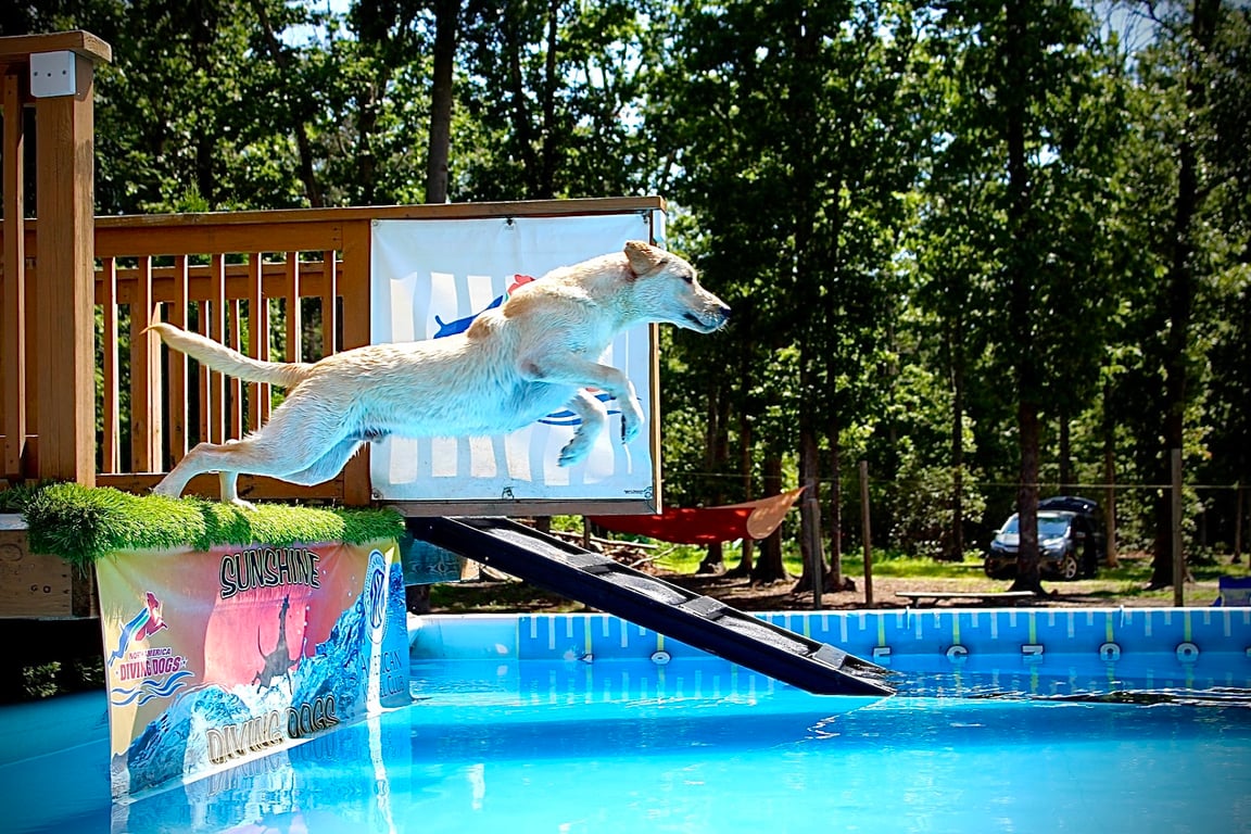 Sunshine Dog Park