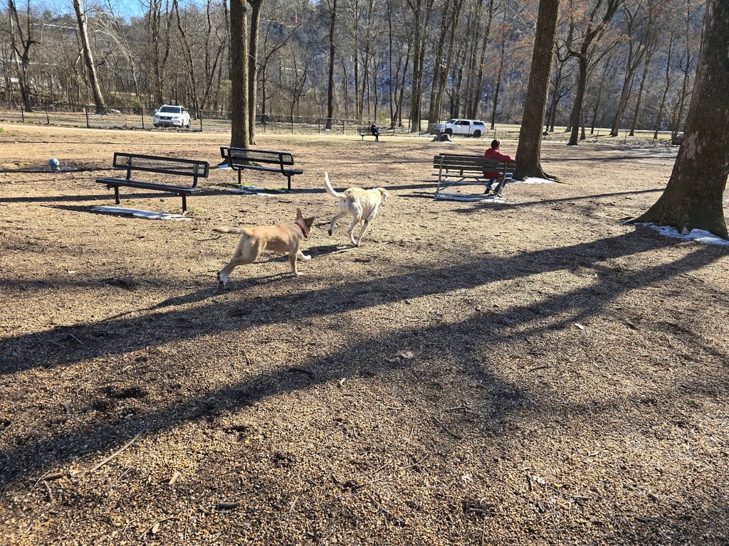 Paws Park at Murray