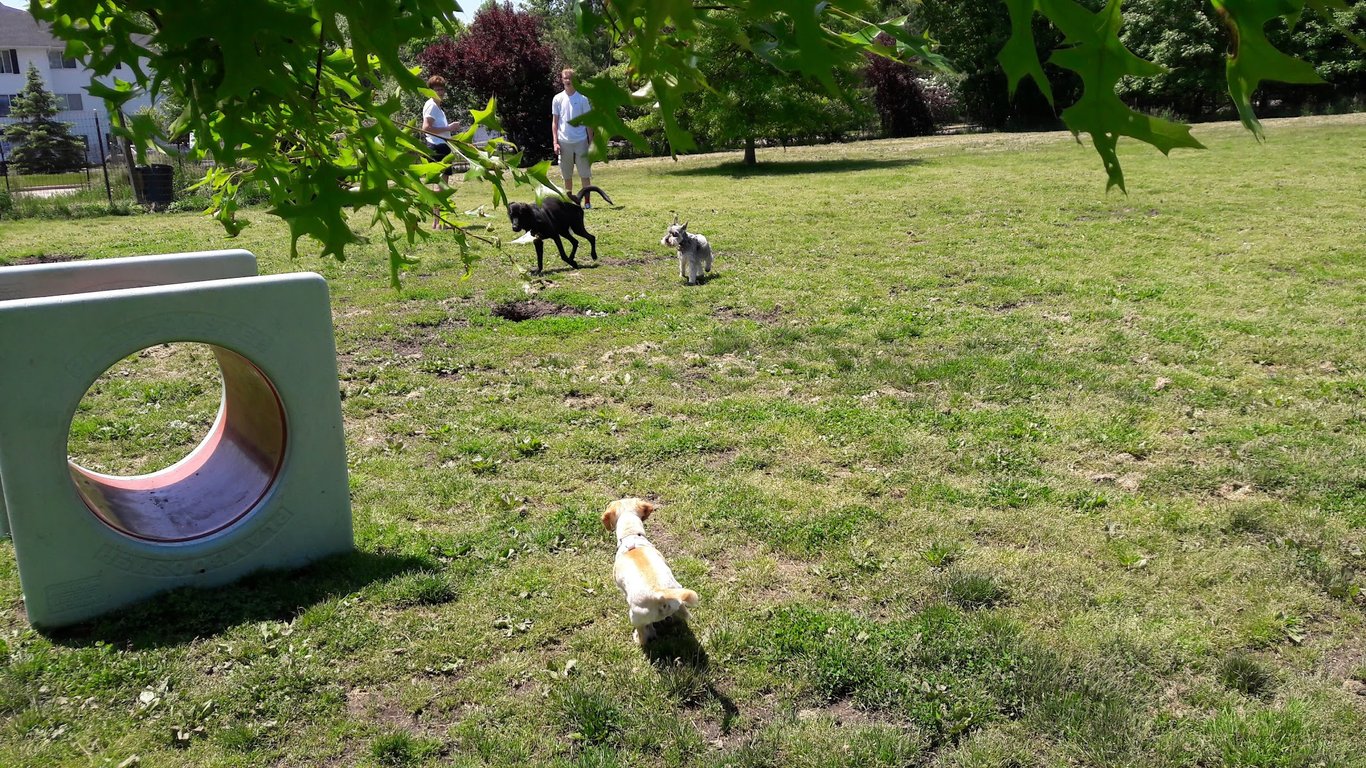 Brunswick Dog Park