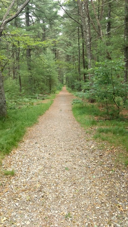 Sharon Dog Park