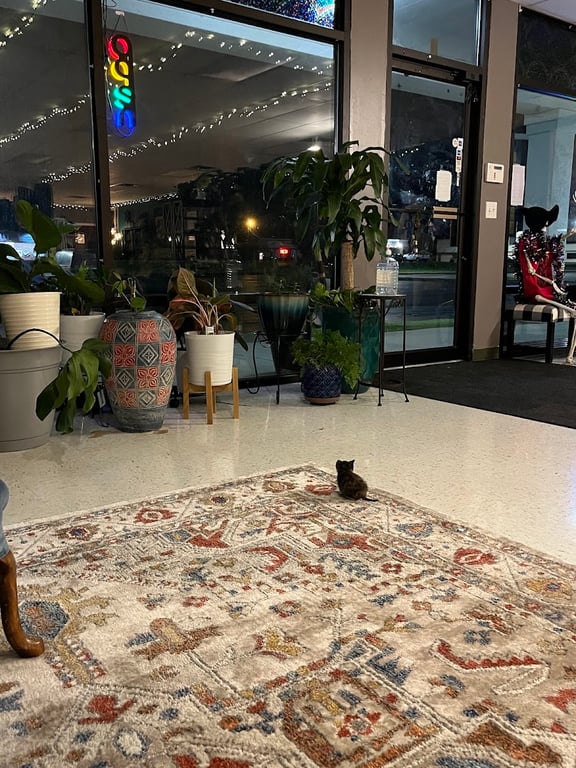 Photo of Romarin et Corbeaux