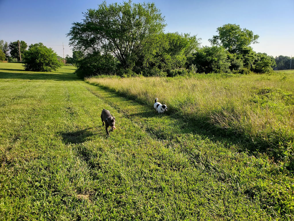 Heritage Park Dog Off-Leash Area