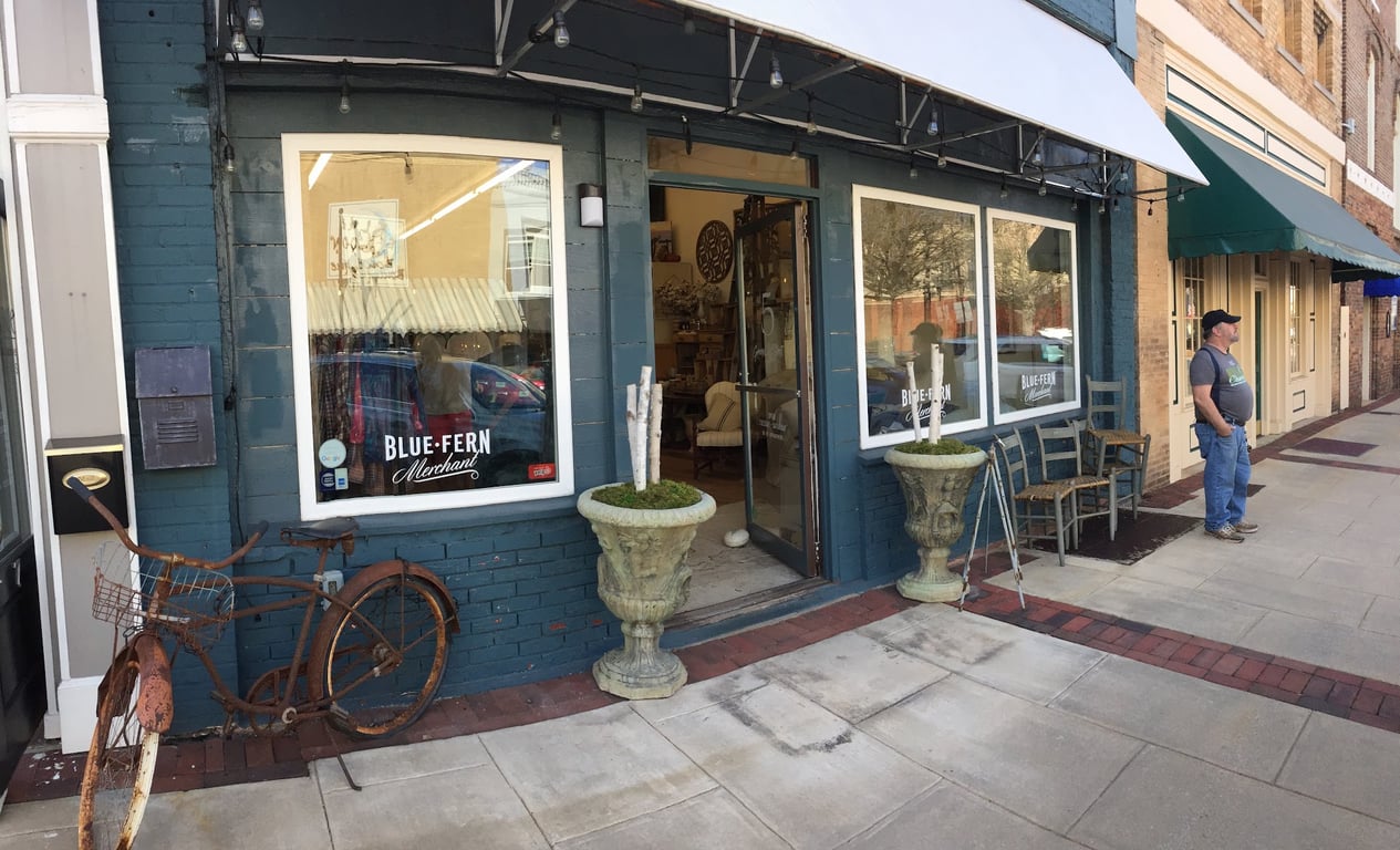 Photo of Blue Fern Design and Interiors